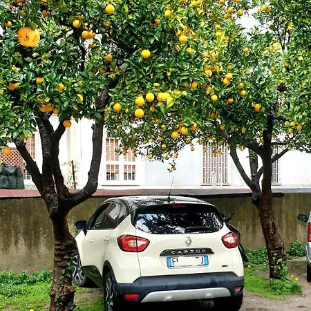 Tufo Giallo San Giorgio a Cremano